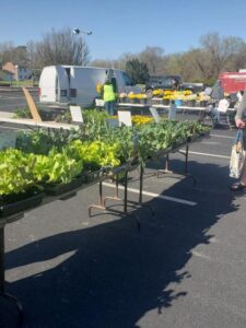 How To Be a Food Waste Champ Image